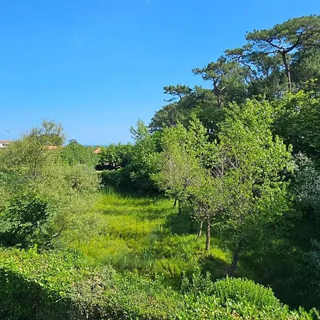 Pause Luzienne A Deux Pas De La Daire
