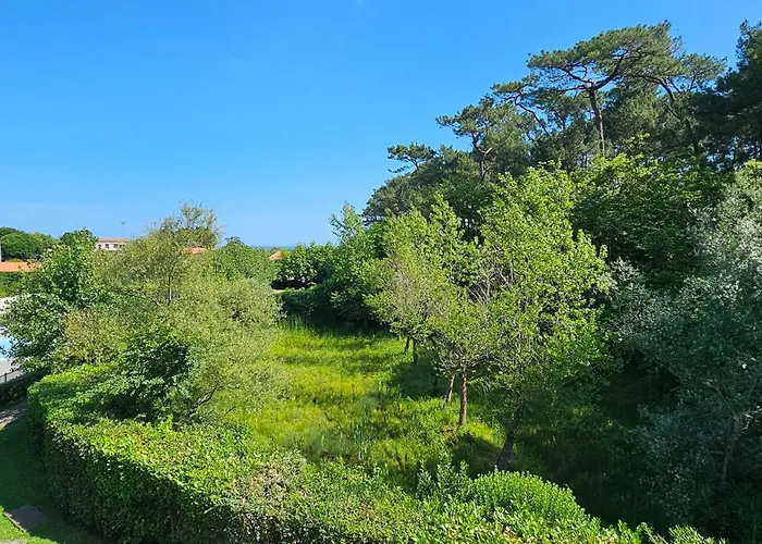 Pause Luzienne à Deux Pas De La Apartamento